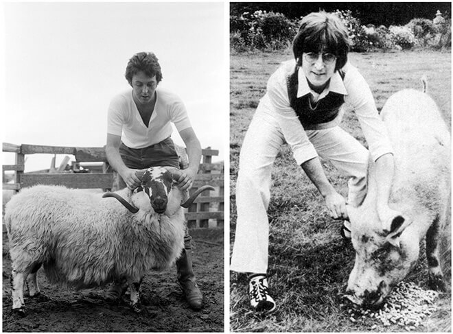 Paul McCartney - Ram - John Lennon - Imagine - Photo cochon
