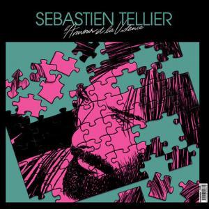 L'amour et la violence de Sébastien Tellier
