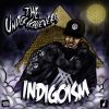 Gold Soul Theory - The Underachievers