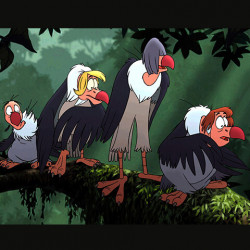 Les vautours du Livre de la Jungle